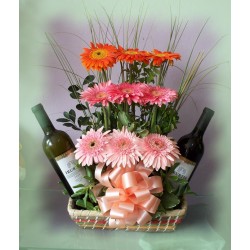 Gerberas y Vino