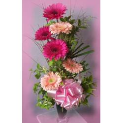 Gerberas Coloridas