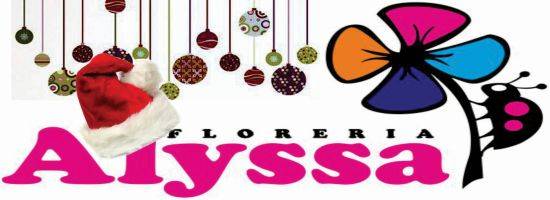 Floreria Alyssa Flores y Regalos Uruguay