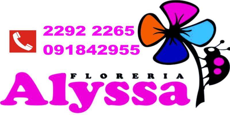 Floreria Alyssa Flores y Regalos Uruguay