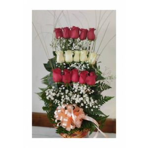 15 Rosas Escalonadas