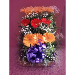 Gerberas en Cesto