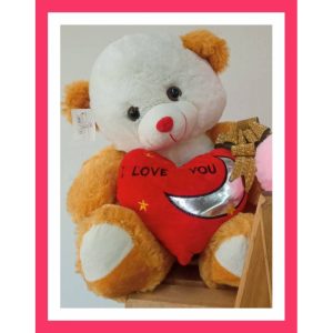 Peluche mediano Con Corazon