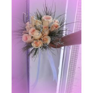 Rosas en Matete
